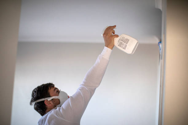 Best Localized Mold Remediation (e.g., coastal areas, humid climates) in Highland Village, TX