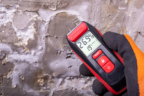 Reliable Highland Village, TX Mold Remediation Solutions